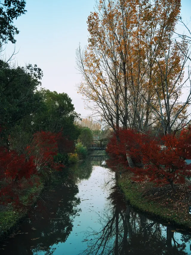 上海殺瘋了! 上海殺瘋了!