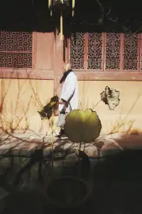 天台山藏了1400年的秘密,一草一木皆佛性