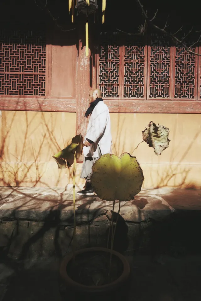 天台山藏了1400年的秘密,一草一木皆佛性 天台山藏了1400年的秘密,一草一木皆佛性