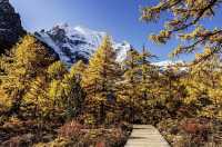 稻城亞丁｜仙乃日神山徒步，邂逅觀世音菩薩的淨土！