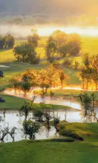 為了這張圖，我特意飛了一次廣西