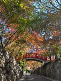 中山植物園就是靜奢風的天花板，閉眼入不虧！