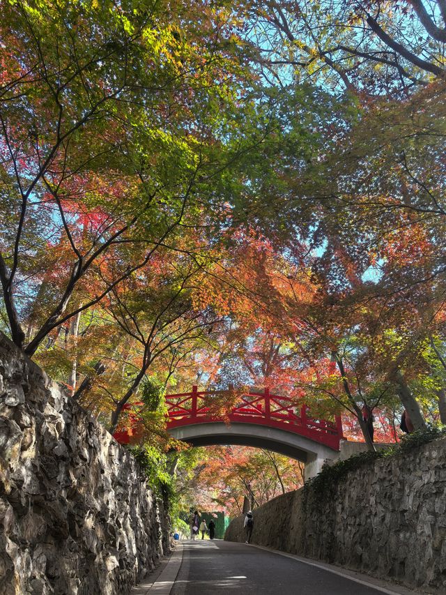 中山植物園就是靜奢風的天花板，閉眼入不虧！