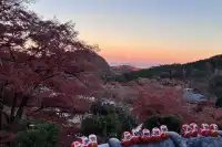 大阪勝尾寺夜間點燈絕美!跟白天完全不同