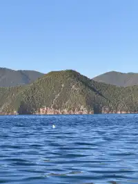 被瀘沽湖美鼠！12.4實拍！