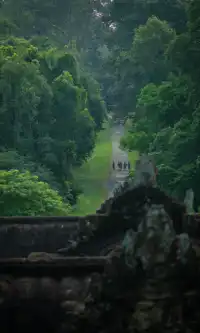 叢林裡的吳哥窟