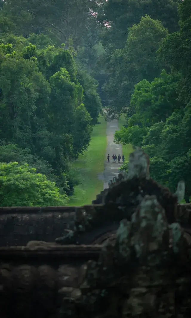 叢林裡的吳哥窟 叢林裡的吳哥窟