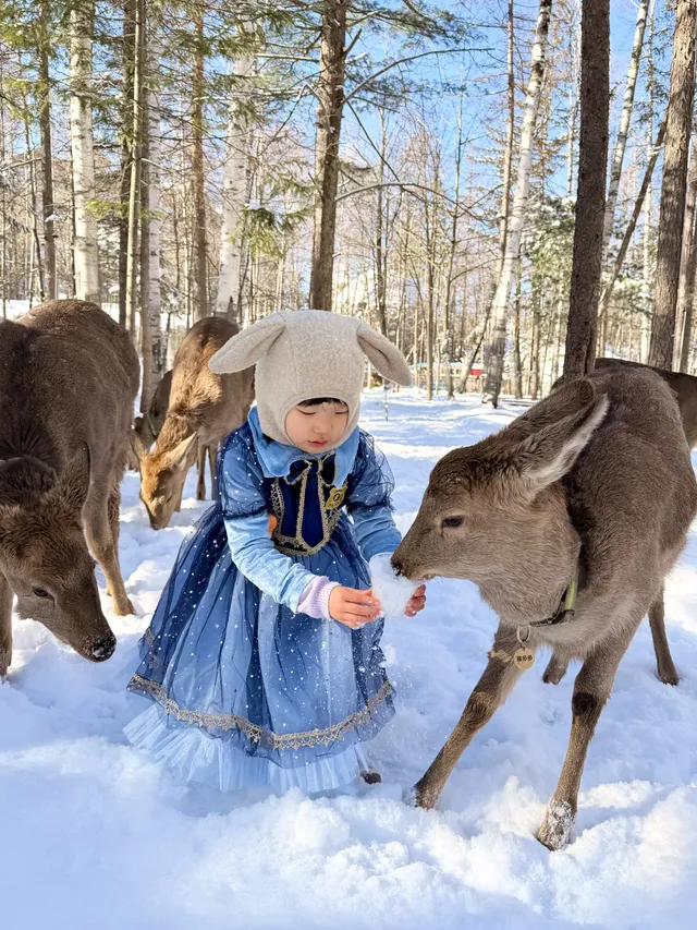 我宣佈長白山才是冬天親子遊的天花板