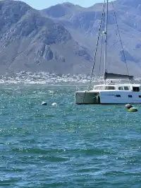 南非｜赫曼努斯-世界最佳陸地觀鯨地