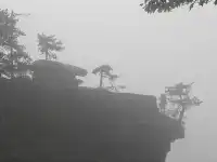 張家界24h|從仙境跌入千年非遺夜宴