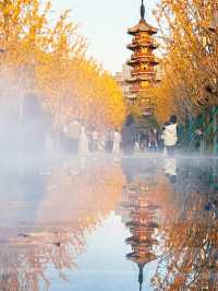 魔都秋日限定龍華寺美成古畫了!!!