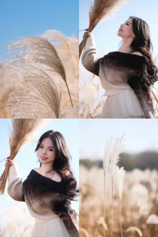 Yixing|East City Meilin Reed Marsh