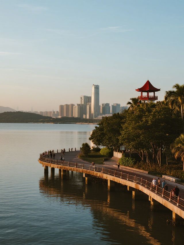 深圳冬日親子遛娃 福田紅樹林三大景區全攻略！