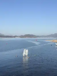 千島湖中心湖區攻略｜帶娃免門票遊湖！