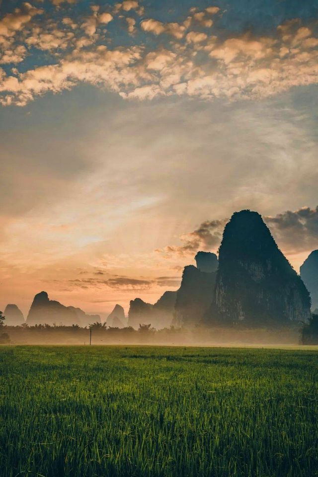 救命!我好像住進了「朋友圈攝影大賽」的評審後台! 救命!我好像住進了「朋友圈攝影大賽」的評審後台!