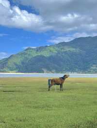 美得不像話雲南麗江也有自己的阿勒泰