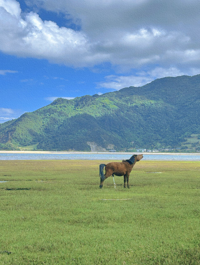 美得不像話雲南麗江也有自己的阿勒泰 美得不像話雲南麗江也有自己的阿勒泰