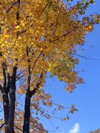 小小玉龍雪山,拿下!