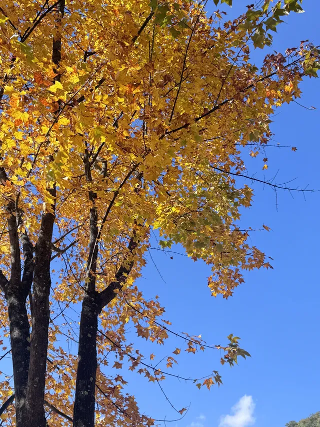 小小玉龍雪山,拿下! 小小玉龍雪山,拿下!