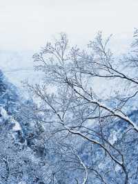 第一次去洛陽老君山這樣玩