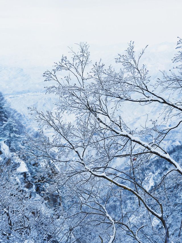 第一次去洛陽老君山這樣玩 第一次去洛陽老君山這樣玩