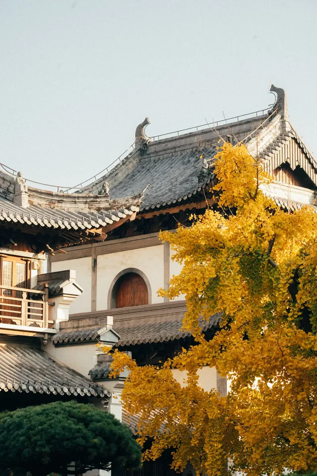 上海寺廟秋天攝影大賽,來交參賽作品了 上海寺廟秋天攝影大賽,來交參賽作品了