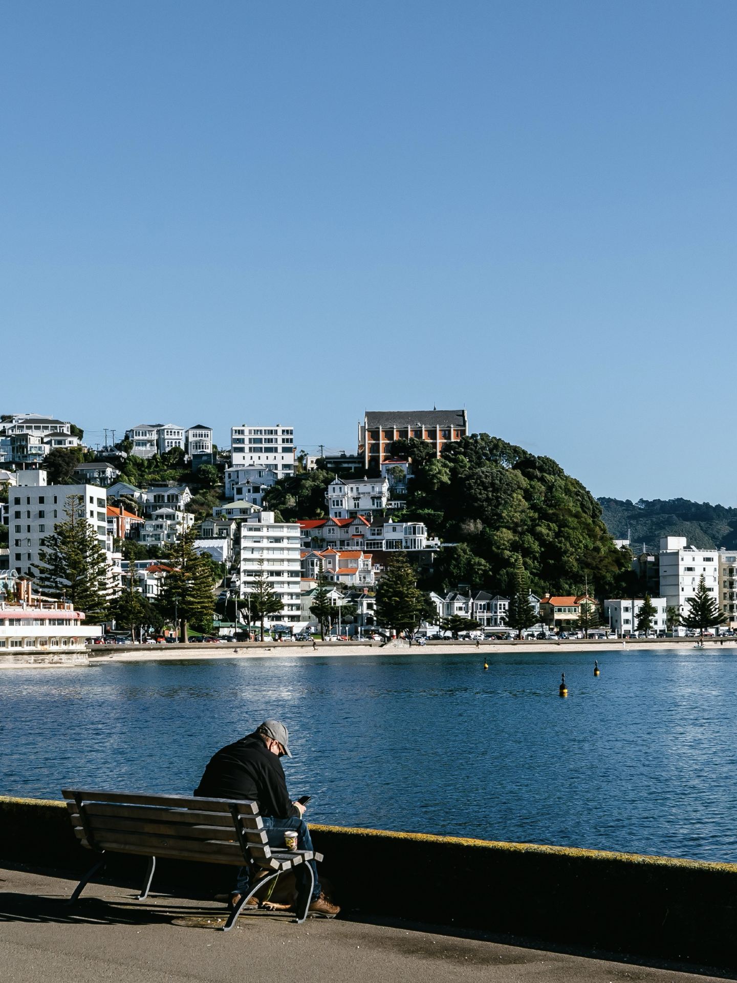 Wellington 2 Days 1 Night! Travel with Jay Chou (with Guide) 