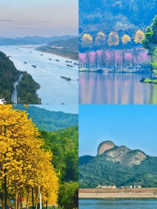Guangdong's Low-Key Ancient Town Ceiling Yunan