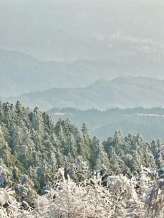 อรุณสวัสดิ์ หลงหวางหยุนซาน! คู่มือพิชิตเทพแห่งทะเลเมฆ