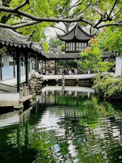 Humble Administrator's Garden｜Springtime Jiangnan reflected in