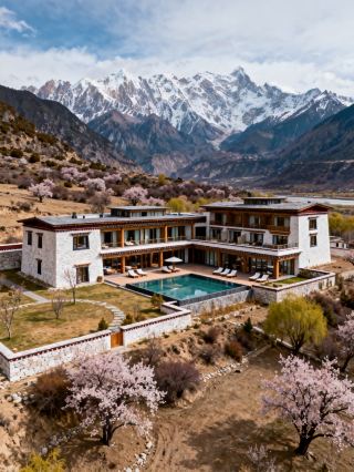 Stay in Nyingchi to chase peach blossoms, a spring family trip without any pitfalls