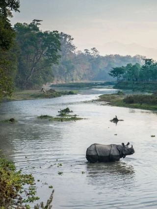 Chitwan, Nepal | Laid-back Jungle Tour