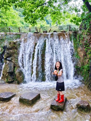 Summer at 20℃! Escape the heat! A one-day guide to stream tracing in Langya Mountain!