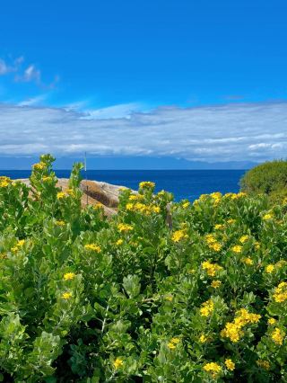 Summer 9-day South Africa tour guide—copy this and go