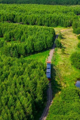 Summer escape | Colorful Forest one-day play guide, cool and fun without getting tired or sunburnt Want to escape the summer heat? Drive 3h from Beijing directly to Colorful Forest, 2