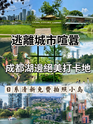 록커도｜청두 여름 일본식 청신 치유 사진 명소