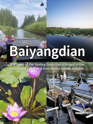 Baiyangdian travel guide: avoid these pitfalls