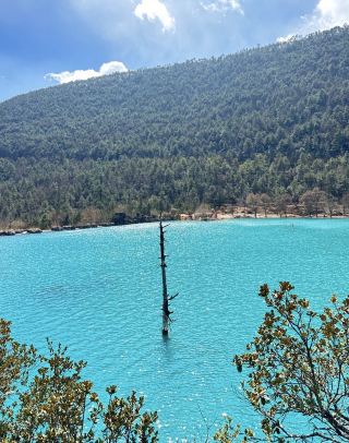 Just got back from Jade Dragon Snow Mountain! An honest guide to avoiding pitfalls 😭 every word is true