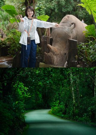 National Day 6-Day Xishuangbanna Family Itinerary | Rainforest + Elephants + Dai Culture