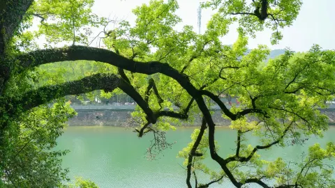 Hãy đảo ngược kế hoạch du lịch nghỉ lễ của bạn! Dành chút thời gian "thả ga" ở những thị trấn nhỏ thuộc vùng đồng bằng sông Dương Tử. — traveler post in Tấn Vân