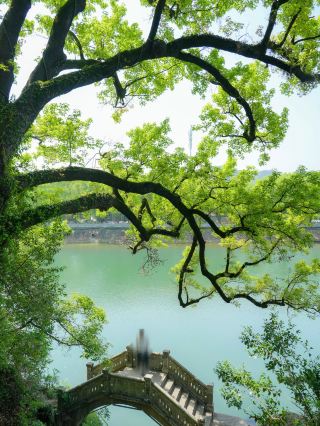 假期反向出遊！去江浙滬這些小城「虛度時光」吧