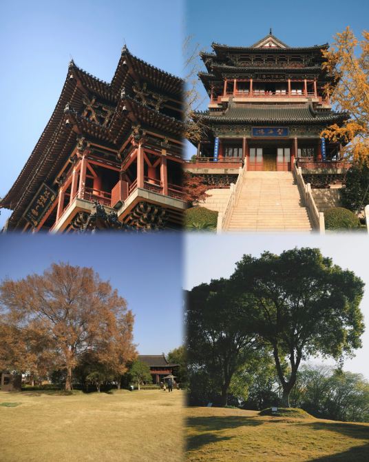 I survived Taizhou and returned, and after a few days of exploring, my wallet was laughing