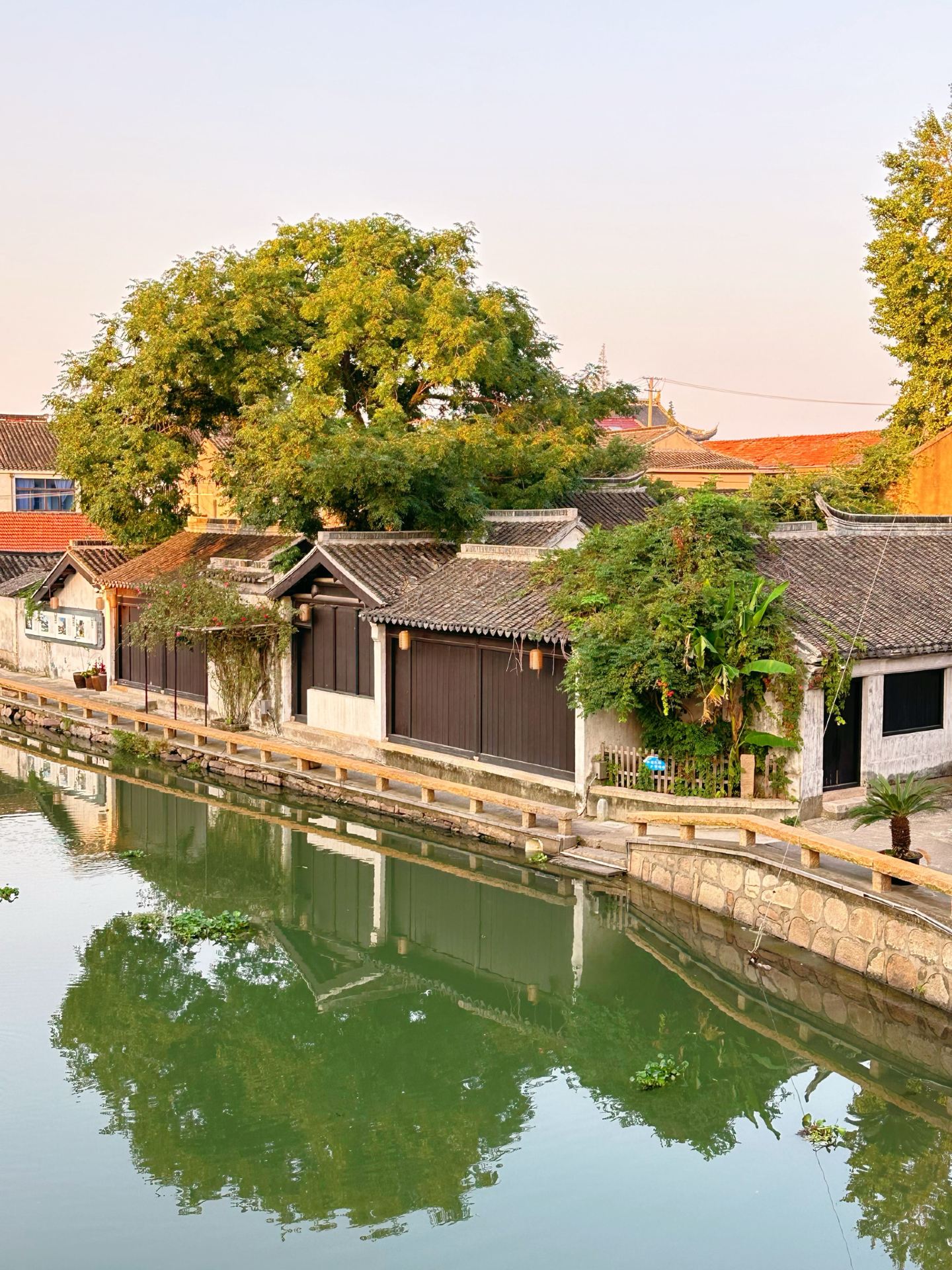 Wang Family Treasures #Former Residence of Wang Gao#