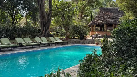 Great Stay in a Stunning and Natural Setting — traveler post in Arumeru