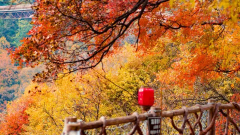 ปีนเขาชมฤดูใบไม้ร่วงที่ซีอาน 🍂 | เทียบชัดๆ ระหว่าง "เซ่าหัวซาน" vs "ชุ่ยหัวซาน" เลือกไปไหนดี? — traveler post in เหว่ยหนาน
