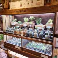 Wonderful Life, Wooden Craft Designs 