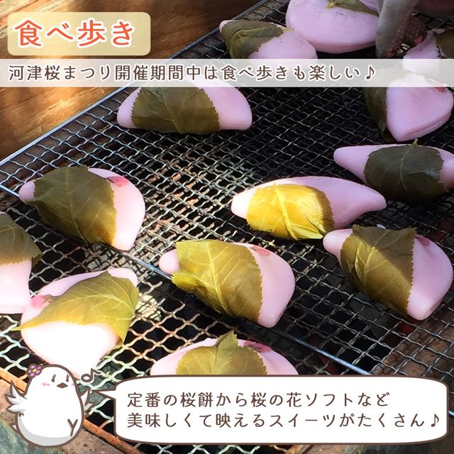 【静岡】2月に楽しむ伊豆河津桜と２つの祭り