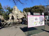 東京・上野。やっぱり『パンダ』の人気は絶大。日本で最初の動物園『上野動物園』