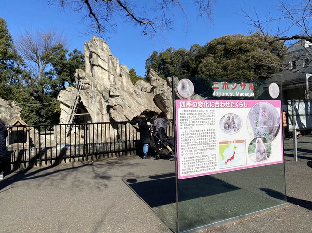 東京・上野。やっぱり『パンダ』の人気は絶大。日本で最初の動物園『上野動物園』