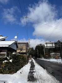 東京近郊🍀舊輕井澤銀座通小食、Miffy專門店、特色咖啡廳集中地